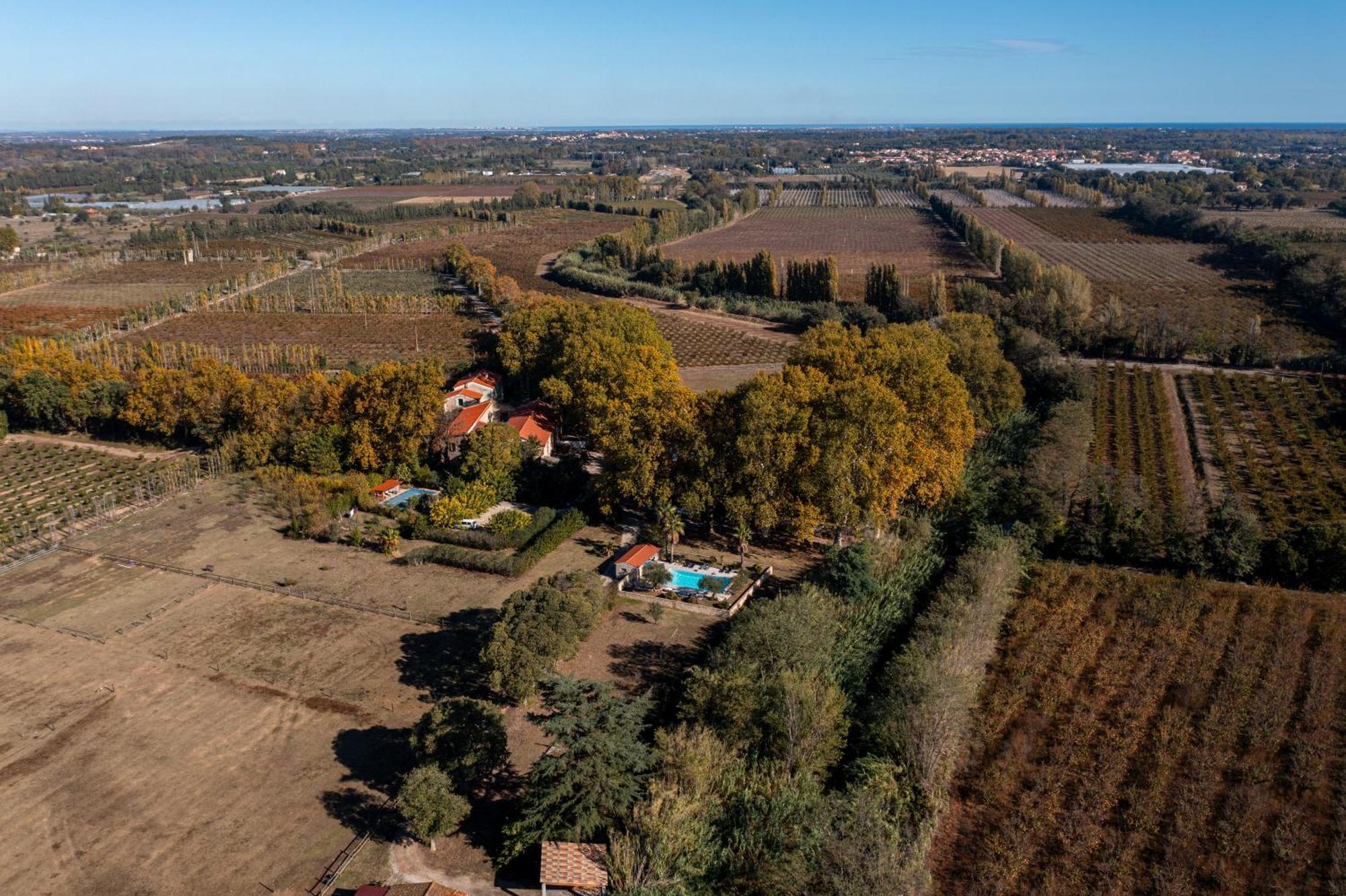Domaine Castell De Bles Bed and Breakfast Saint-Génis Eksteriør billede