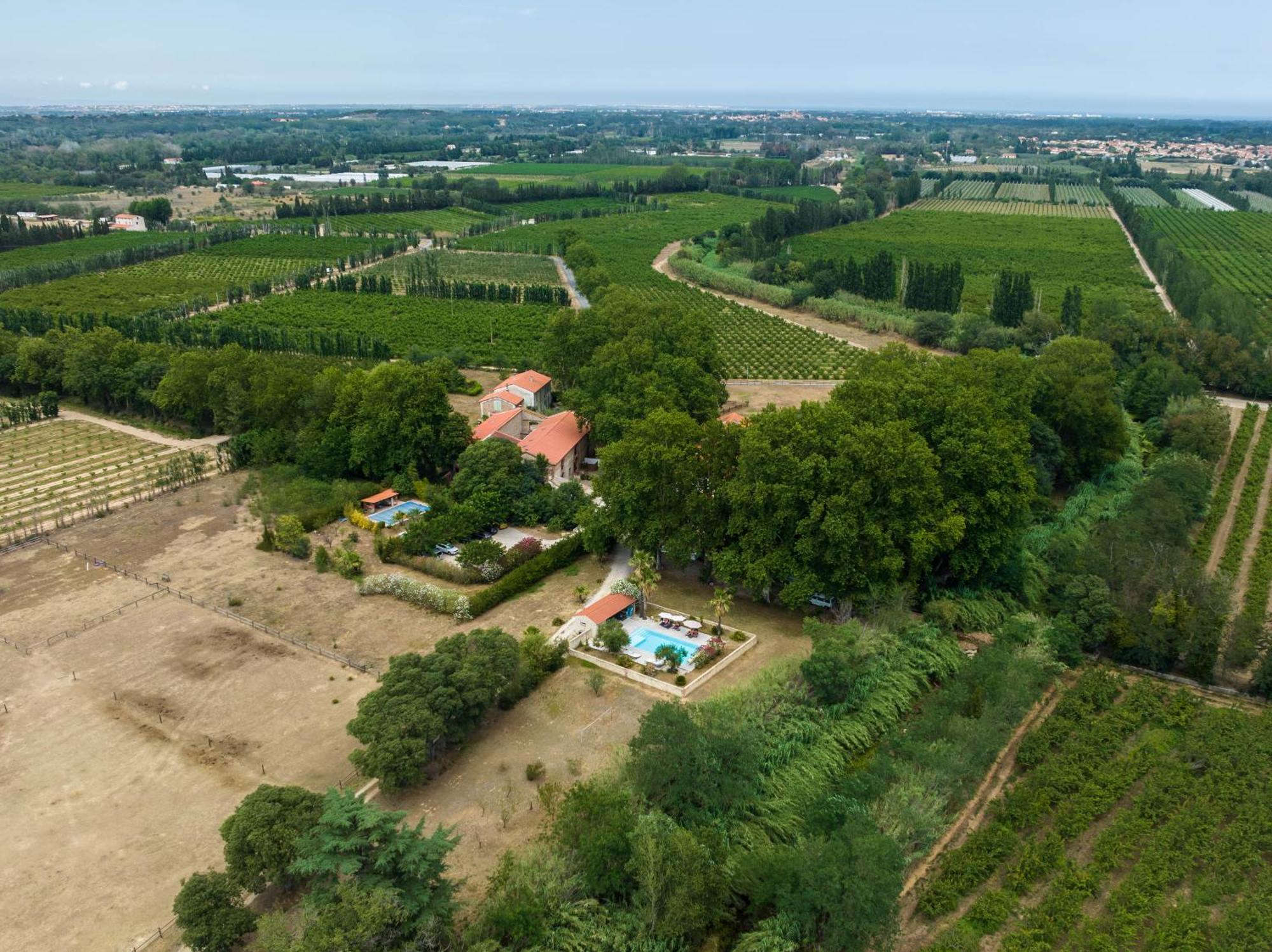 Domaine Castell De Bles Bed and Breakfast Saint-Génis Eksteriør billede